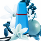 Cacharel - Loulou - Eau de Parfum para Mujer