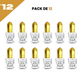 5ml el Nabil - Musc Blanc - Parfum Concentré Sans Alcool 12*5ml