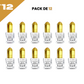 5ml el Nabil - Musc Fruity - Parfum Concentré Sans Alcool
