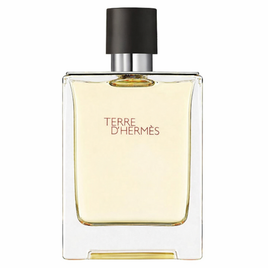 100ml Hermès - Terre D'hermès - Eau de Toilette pour homme