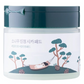 Round Lab -  Pine Calming cica - pad