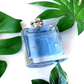 100ml Nautica - Voyage For Men - Eau de Toilette