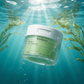 Biodance - Sea Kelp - Gel Toner Pad
