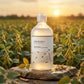 Round Lab -  Soybean Toner - Tonique rajeunissant et nourrissant