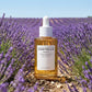 Skin1004 - Madagascar Centella Ampoule